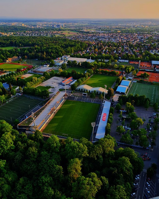 的表现实至 的表现实至